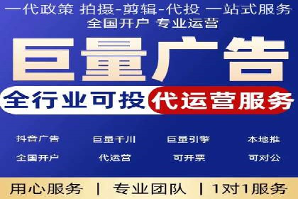 电商平台信息流广告的创意与执行案例分析